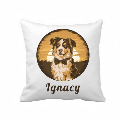 poduszka BORDER COLLIE Ignacy mikrofibra.jpg