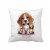 poduszka Beagle Jasiu mikrofibra.jpg