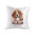 poduszka Beagle Jasiu satyna.jpg