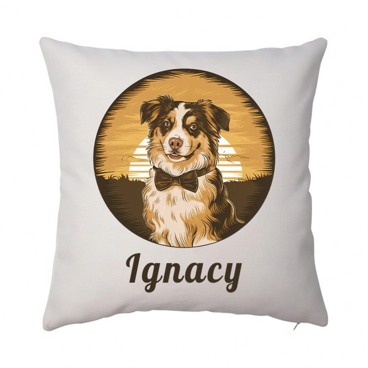 poduszka BORDER COLLIE Ignacy len.jpg