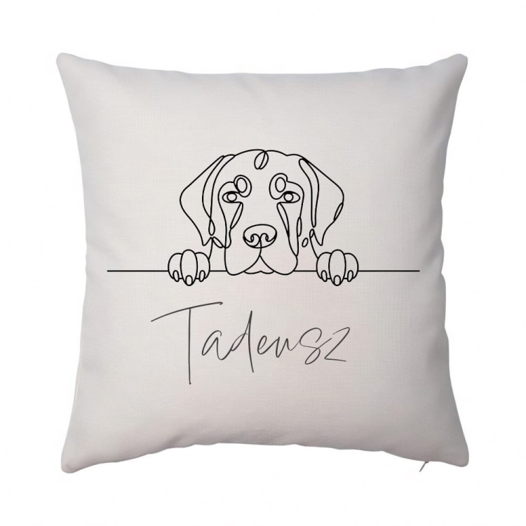 poduszka golden lineart Tadeusz len.jpg