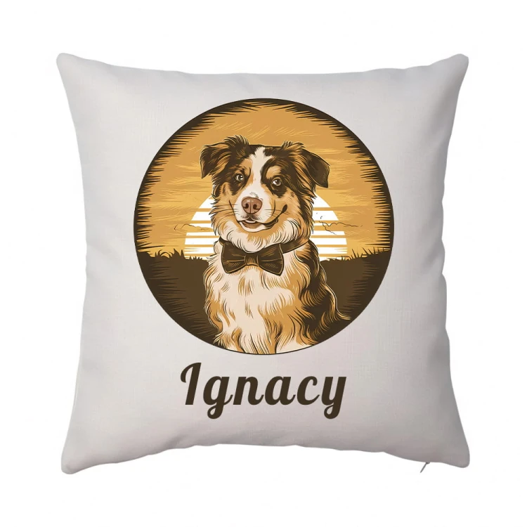 poduszka BORDER COLLIE Ignacy len.jpg