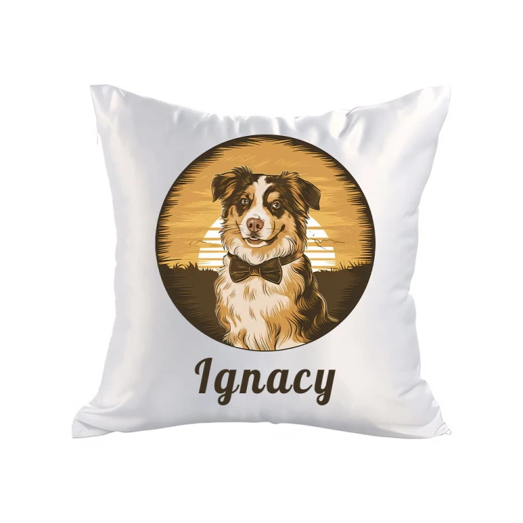 poduszka BORDER COLLIE Ignacy satyna.jpg