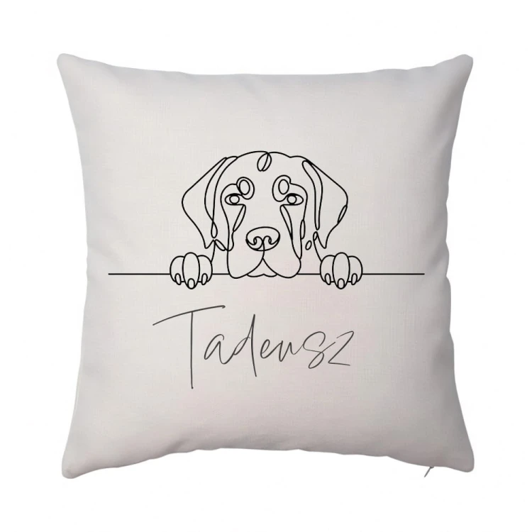 poduszka golden lineart Tadeusz len.jpg
