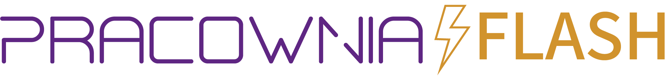 Logo Pracownia Flash - strona główna